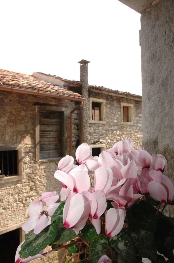 Albergo Diffuso Valcellina E Val Vajont In Erto Luaran gambar